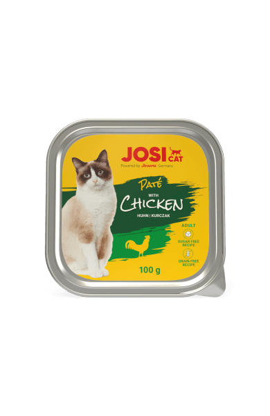 پوچ و پته گربه جوسی‌کت Pate Chicken